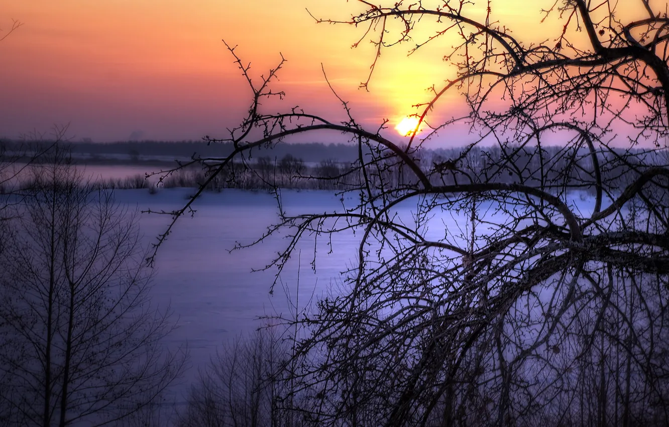 Photo wallpaper winter, landscape, sunset, tree