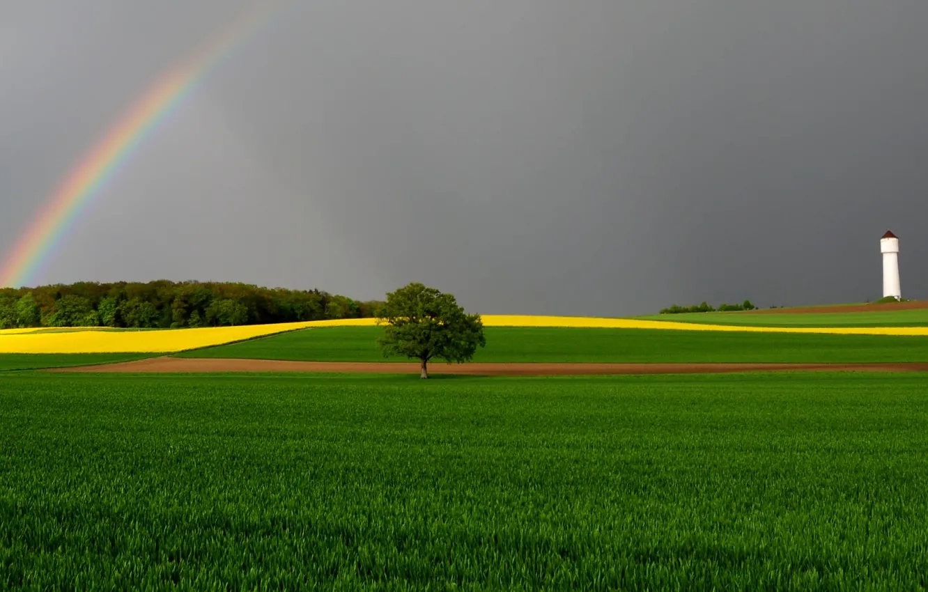 Photo wallpaper field, the sky, trees, tower, rainbow