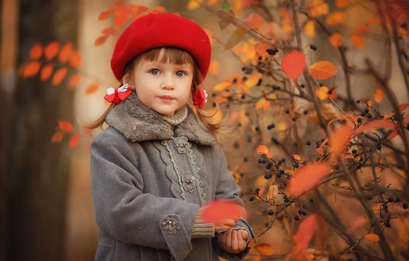 Photo wallpaper autumn, look, red, nature, children, pose, berries, foliage