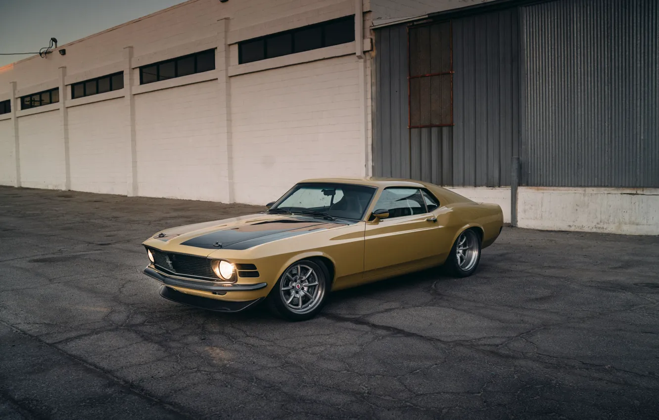 Photo wallpaper Mustang, Ford, Performance, Wheels, HRE, Bronze