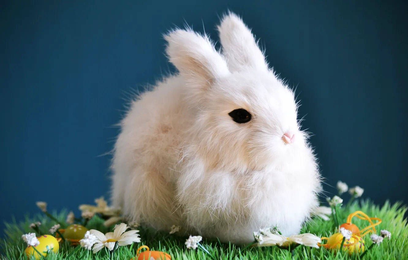 Photo wallpaper white, grass, flowers, holiday, toy, eggs, spring, rabbit