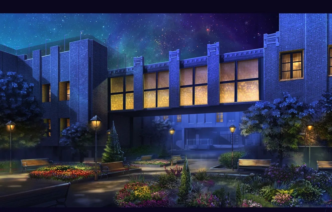 Photo wallpaper night, building, plantings, Patio at Night