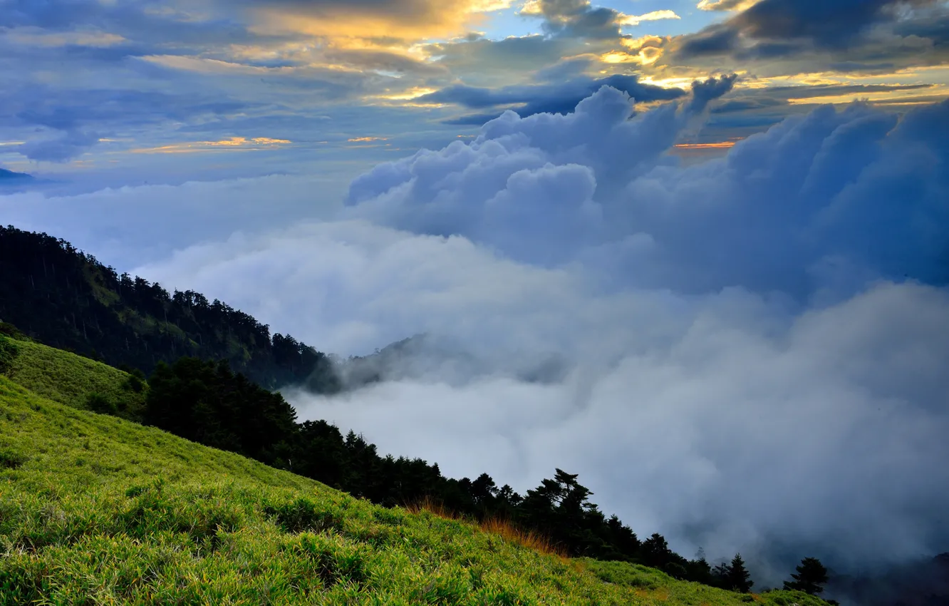 Photo wallpaper greens, grass, clouds, nature, fog, hills