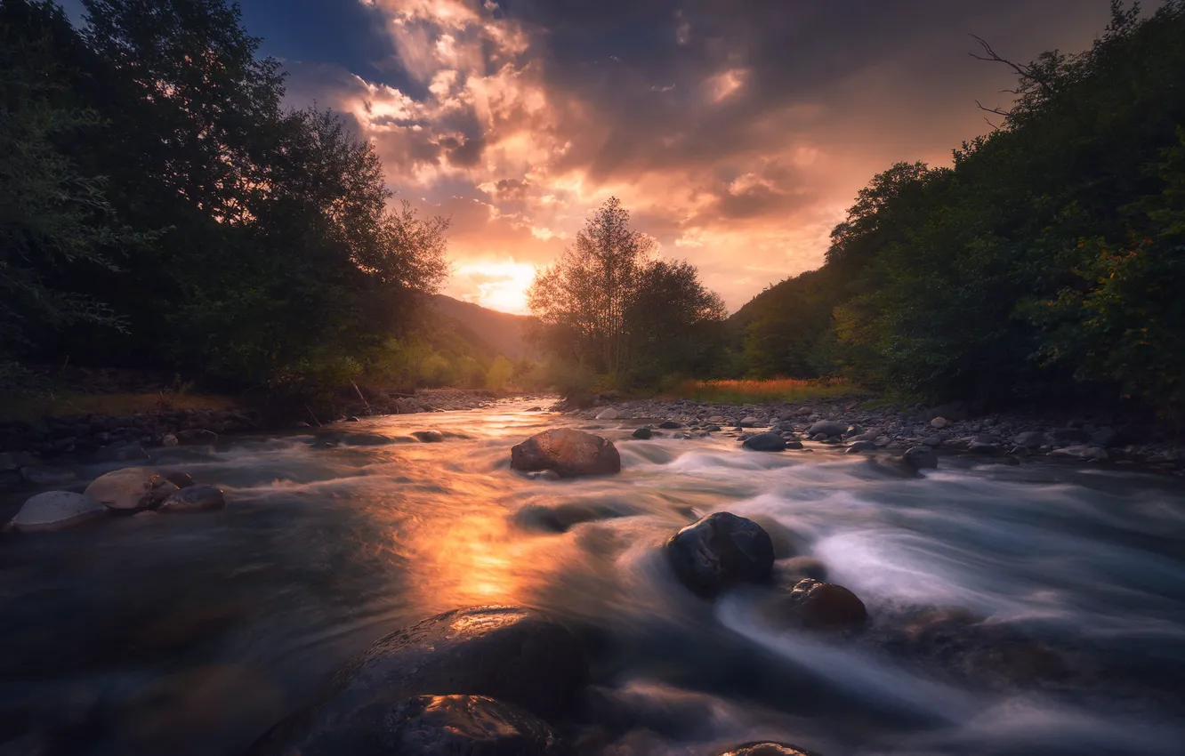Photo wallpaper forest, the sun, clouds, rays, trees, sunset, river, stones