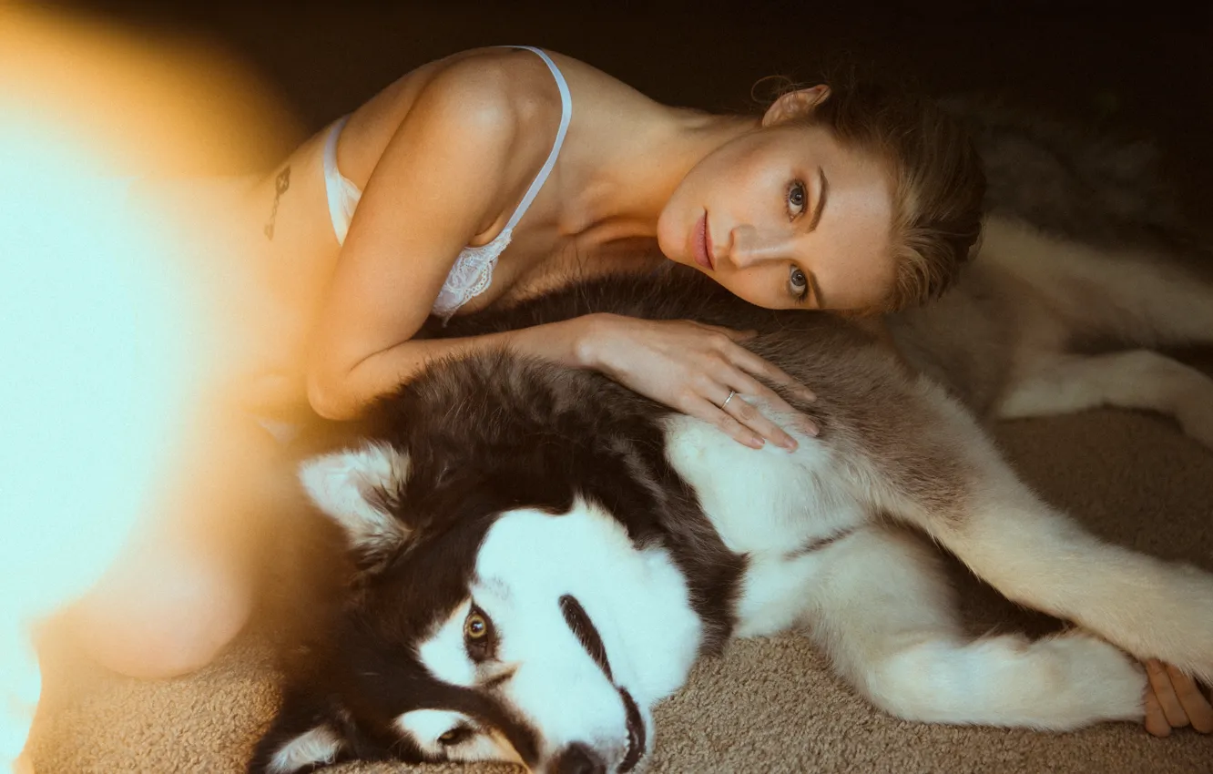 Photo wallpaper girl, dog, husky