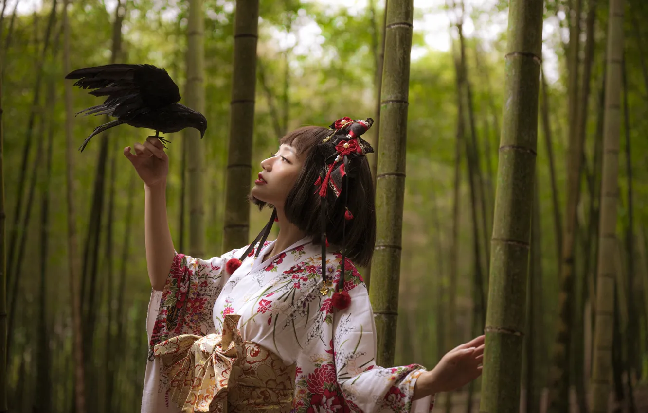 Photo wallpaper girl, style, crows, East