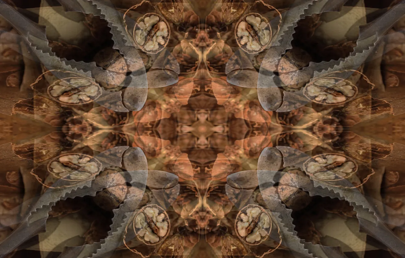 Photo wallpaper design, art, nuts, fractal, tools