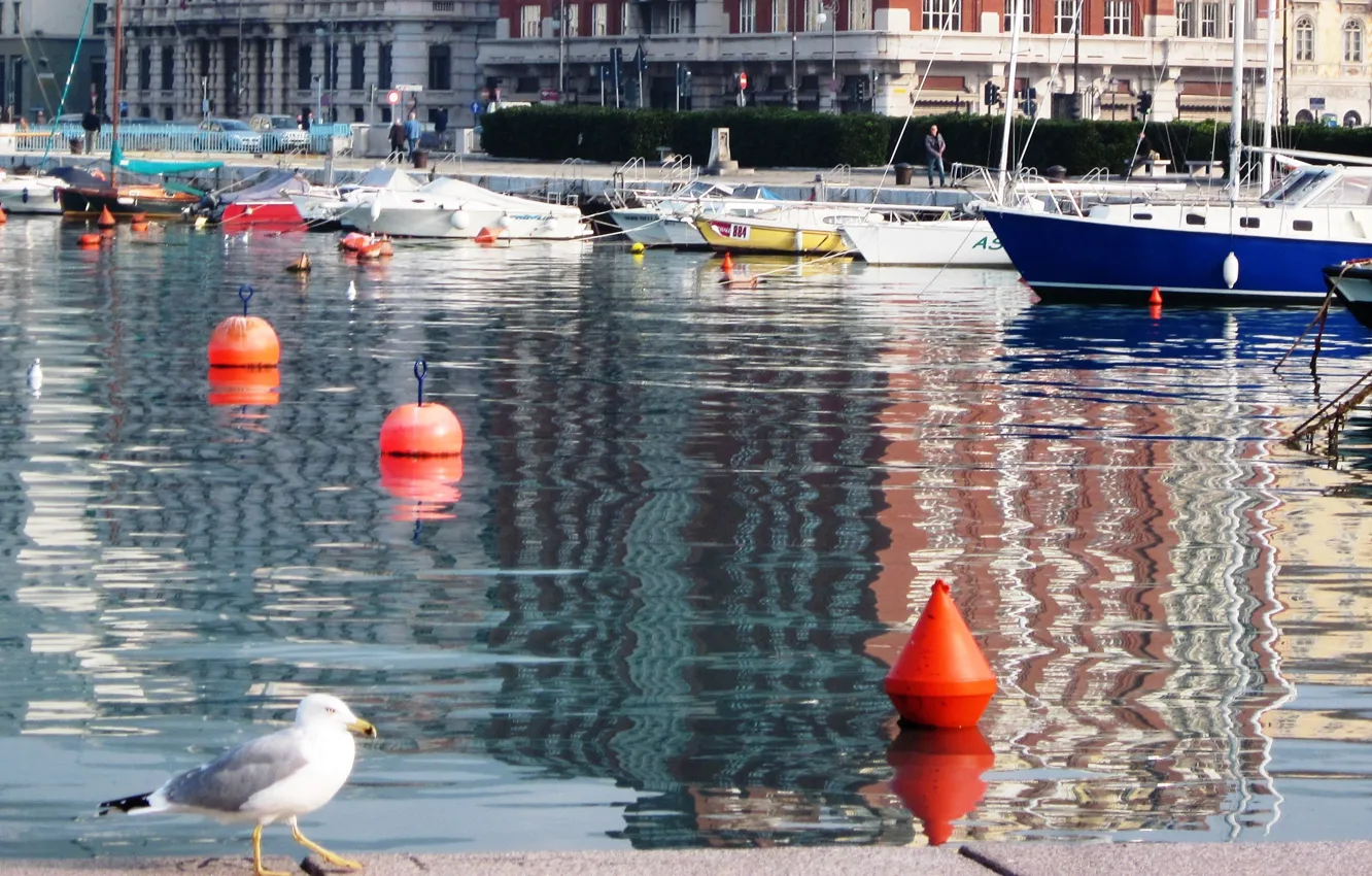 Photo wallpaper the city, boat, Marina