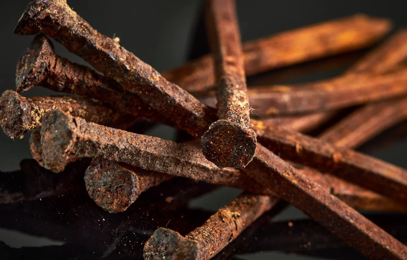 Photo wallpaper macro, rust, nails