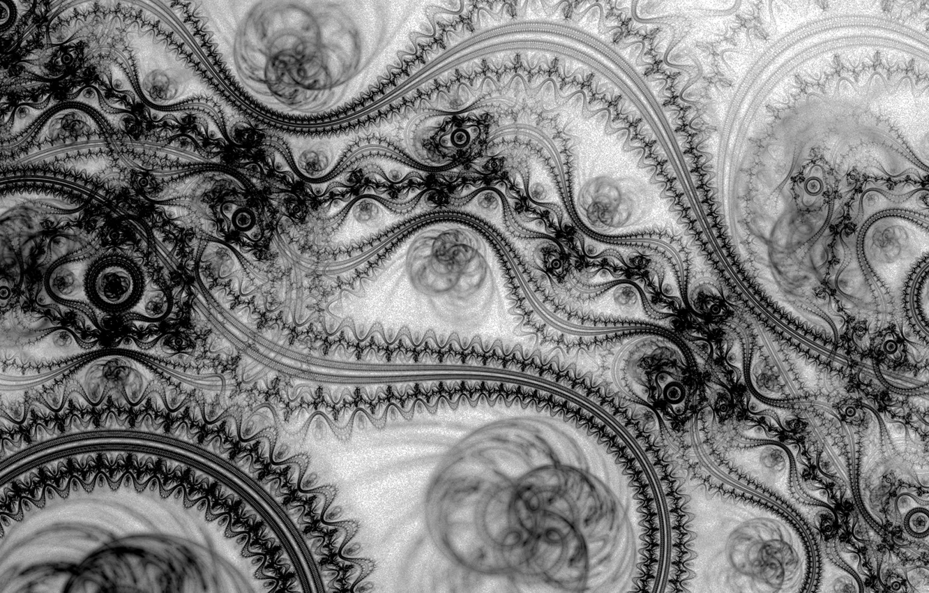 Photo wallpaper white, black, lace