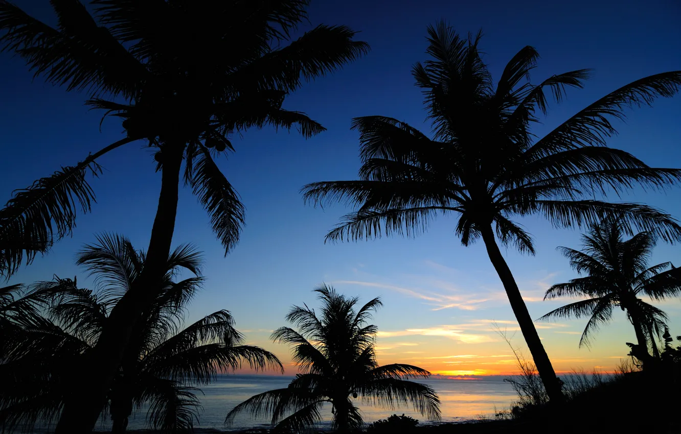 Photo wallpaper sea, the sky, clouds, sunset, palm trees, silhouette