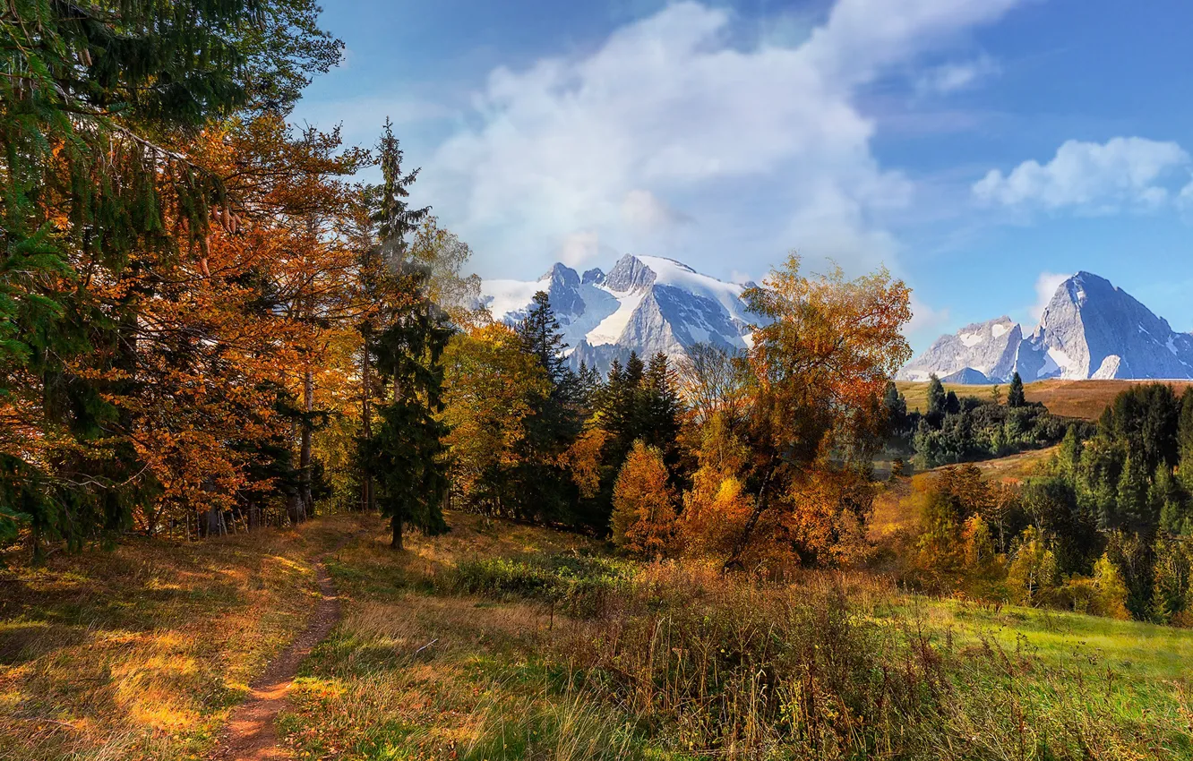 Photo wallpaper autumn, trees, mountains, thicket
