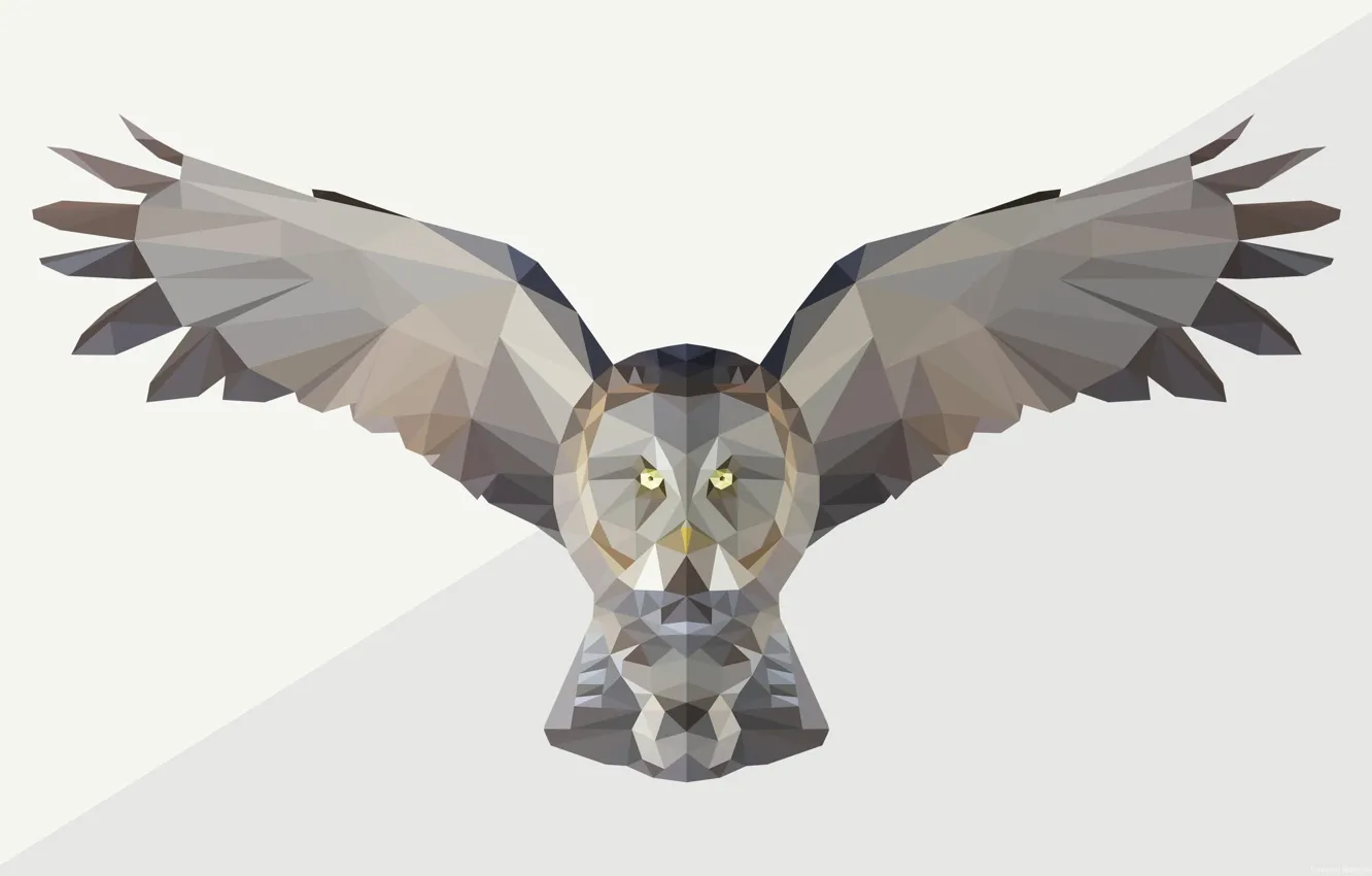 Photo wallpaper bird, owl, abstact