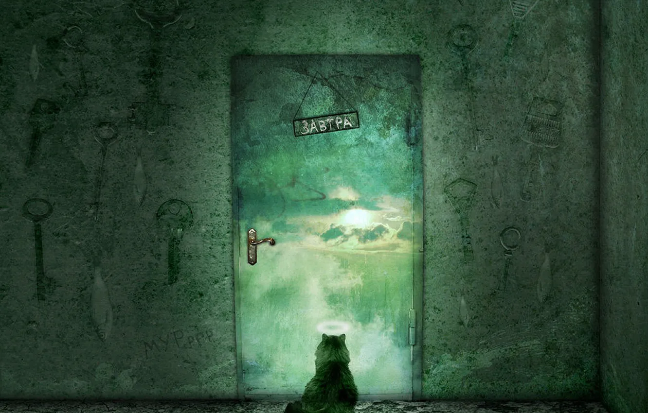 Photo wallpaper cat, the door, Waiting