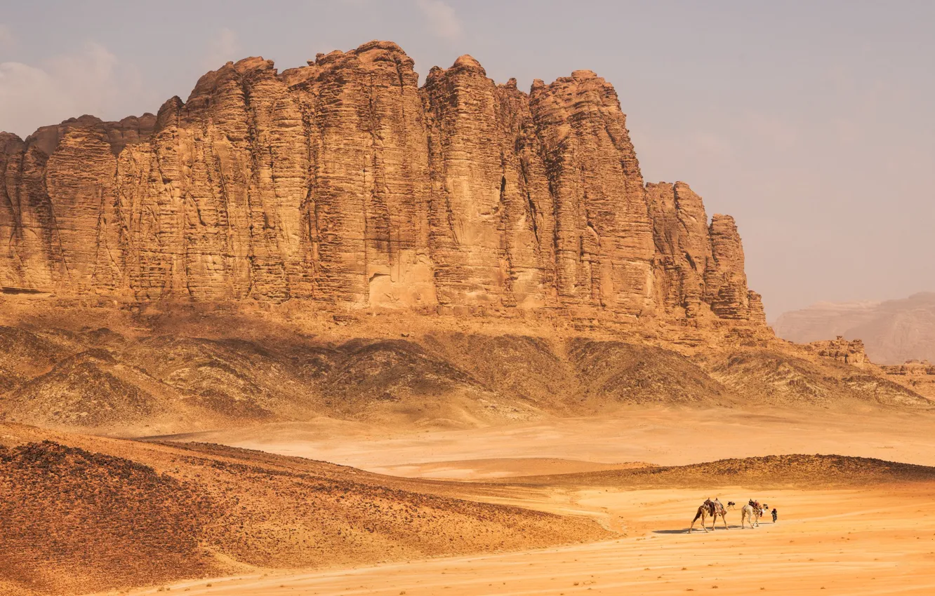 Photo wallpaper sand, mountains, desert, camel