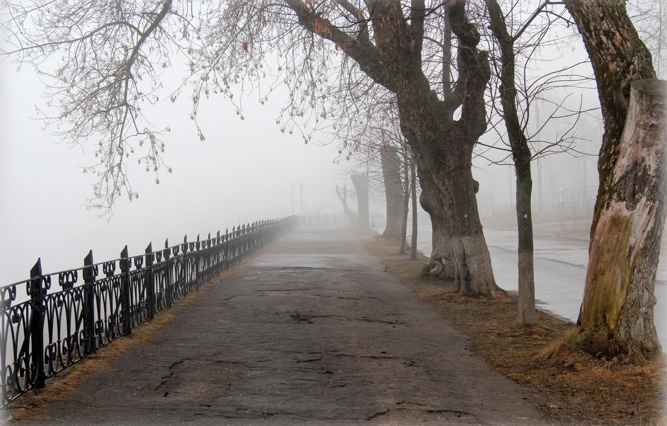 Photo wallpaper the city, fog, spring, alley, Tver, Gorsad