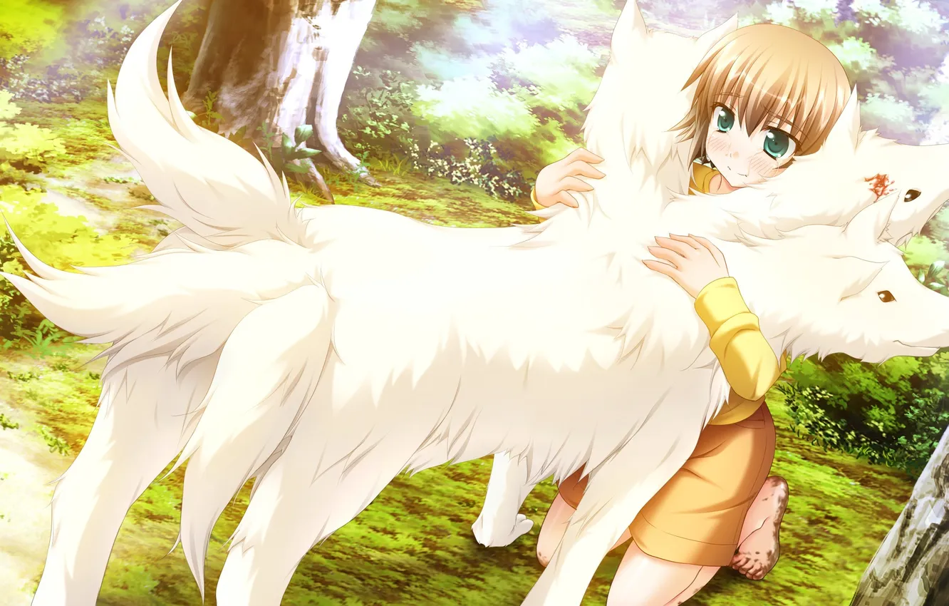 Photo wallpaper girl, trees, nature, animal, blood, dog, tears, art