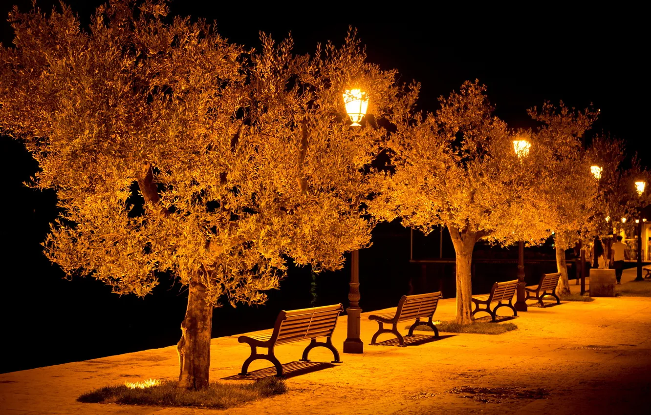 Photo wallpaper light, the city, street, bench