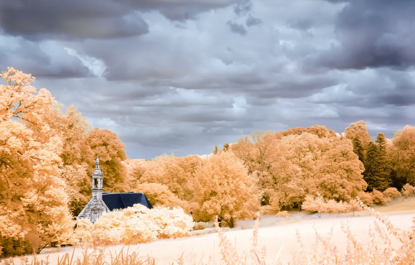 Photo wallpaper field, the sky, temple