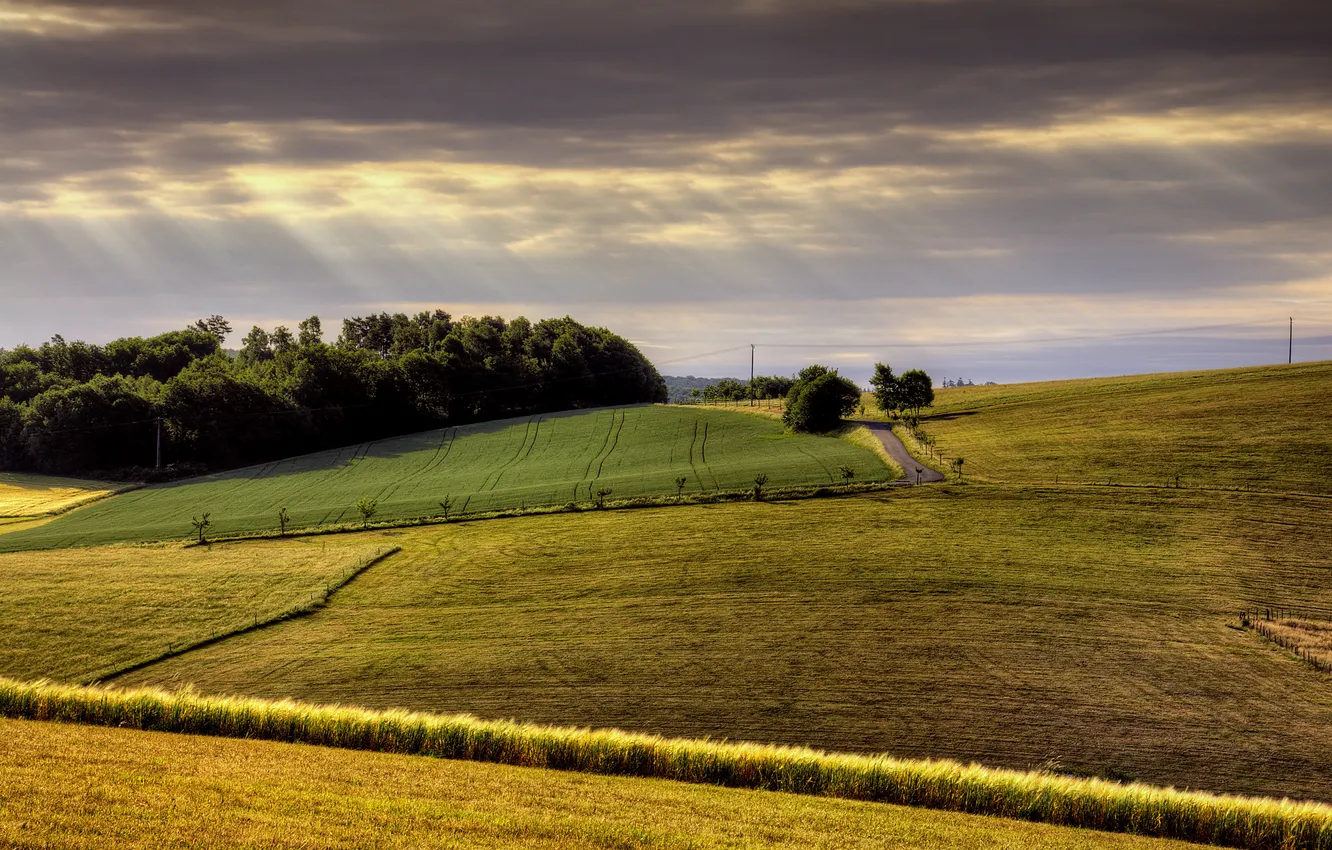 Photo wallpaper field, the sky, light, valley