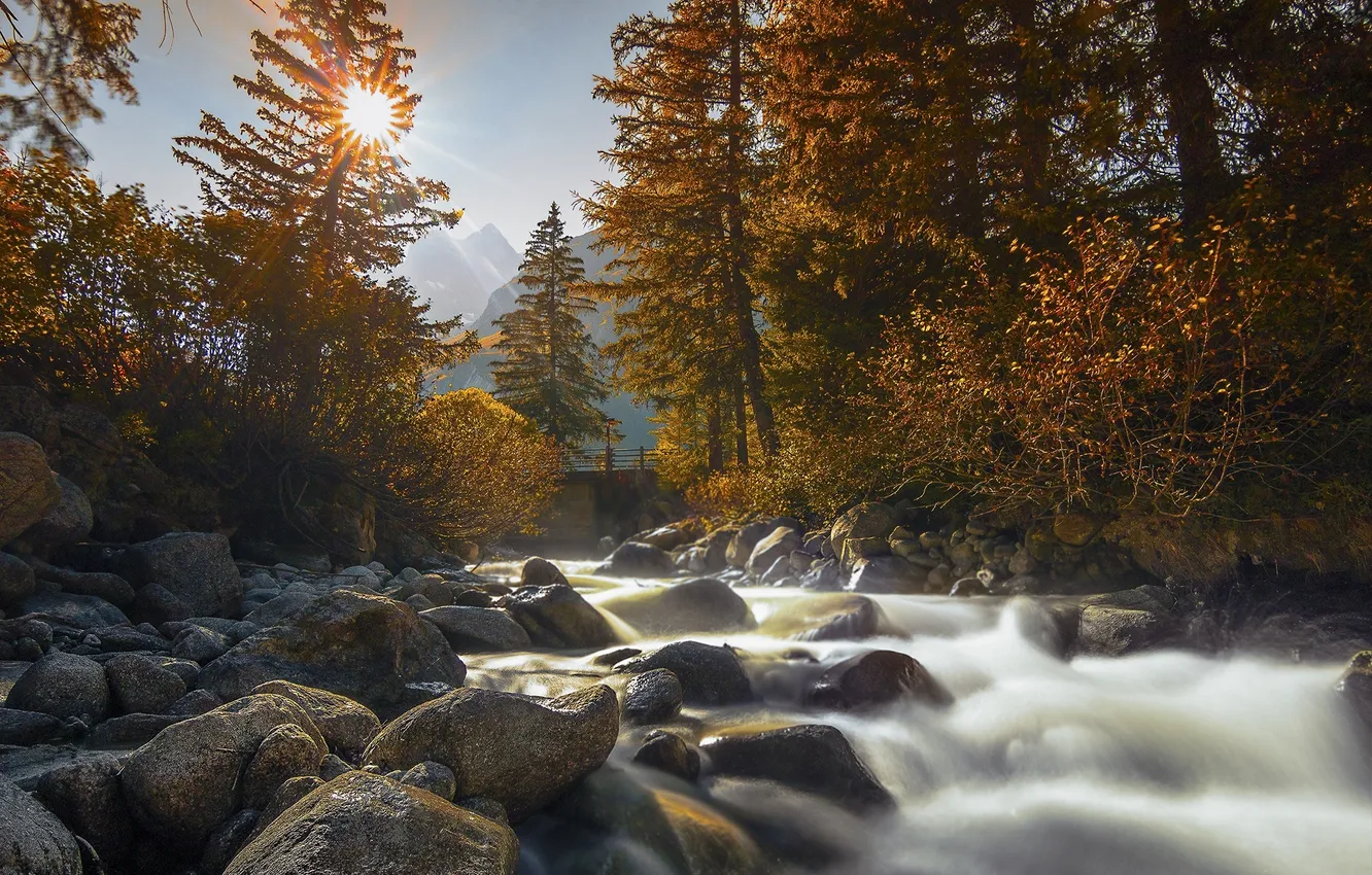 Photo wallpaper autumn, trees, nature, river