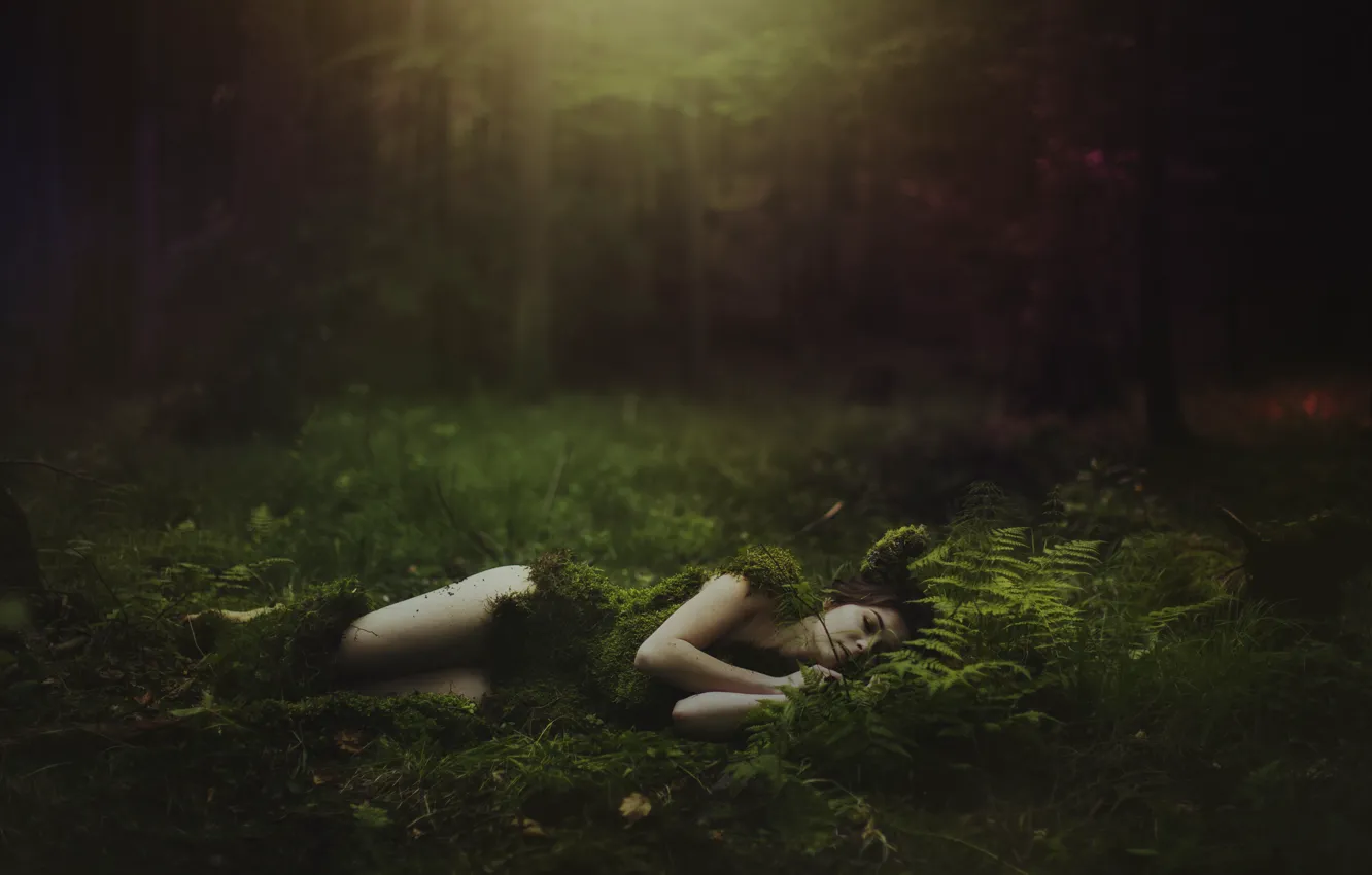 Photo wallpaper forest, girl, style, moss, lies