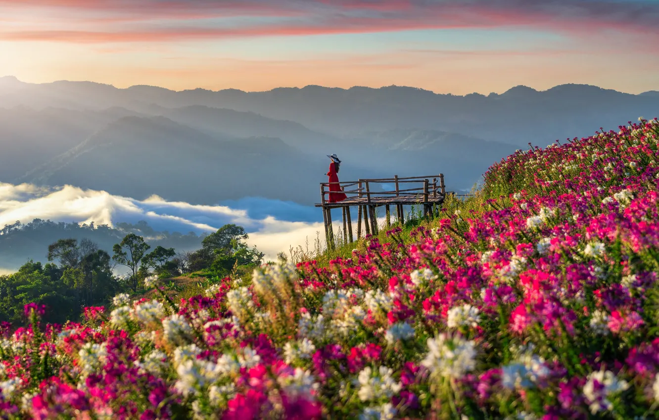 Photo wallpaper summer, the sky, girl, flowers, mountains, fog, mood, dawn