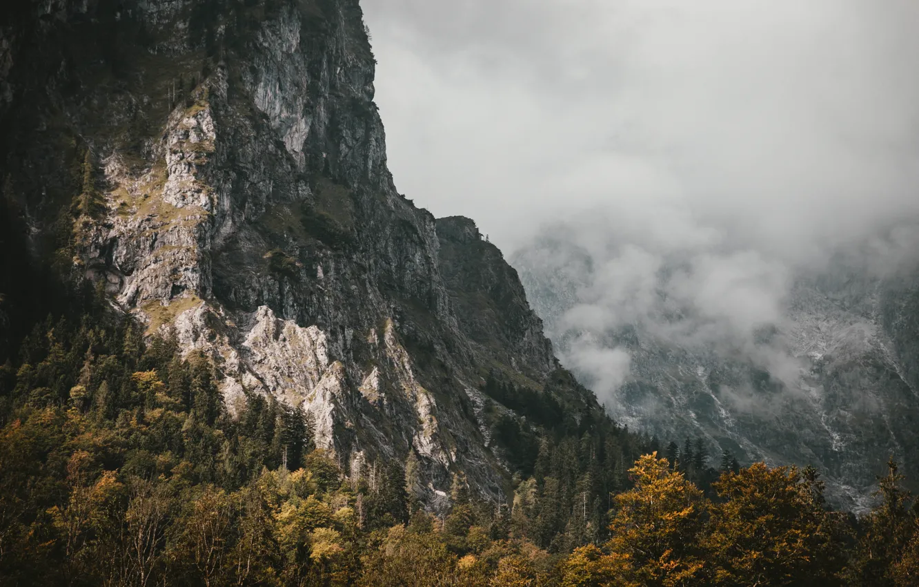 Photo wallpaper autumn, forest, clouds, trees, mountains, nature, fog, rocks