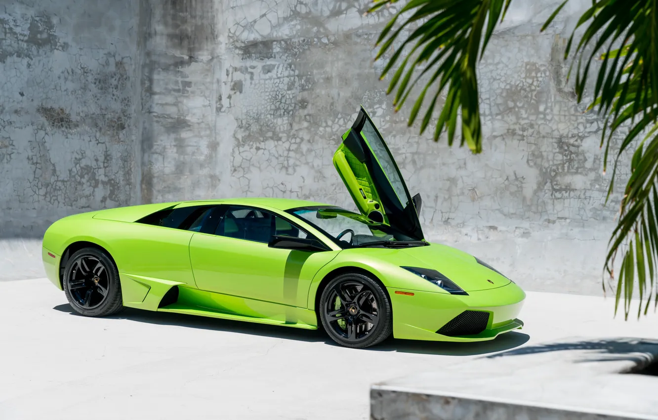 Photo wallpaper green, Lamborghini, Lamborghini Murcielago, Murcielago, lambo door