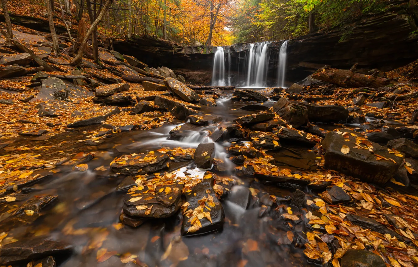 Photo wallpaper autumn, forest, river, stream, stones, waterfall, PA, fallen leaves