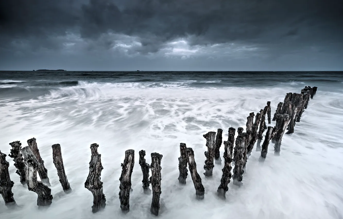 Photo wallpaper sea, coast, logs