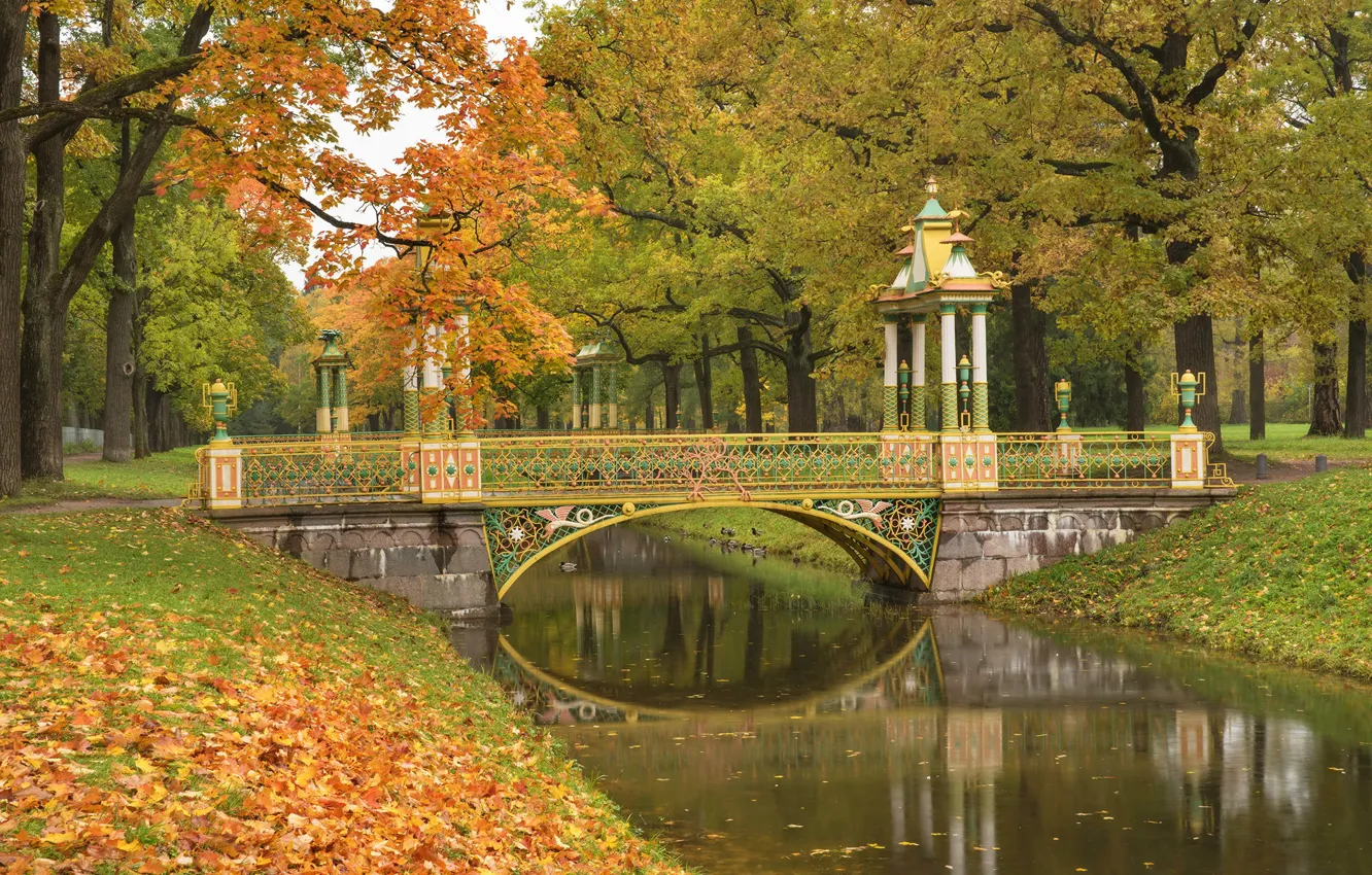 Photo wallpaper autumn, trees, bridge, pond, Park, Saint Petersburg, Pushkin