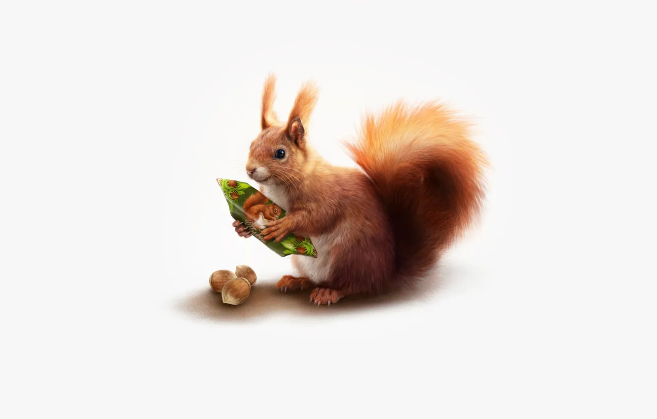 Photo wallpaper Style, Art, Art, Candy, Style, Squirrel, Illustration, Animal