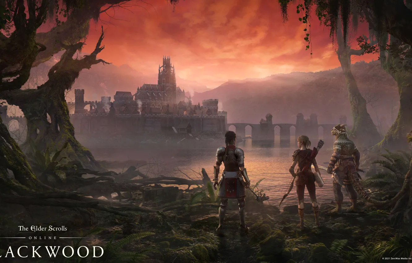 Photo wallpaper The Elder Scrolls Online, tes online, THE ELDER SCROLLS ONLINE: BLACKWOOD, ADVENTURE AWAITS