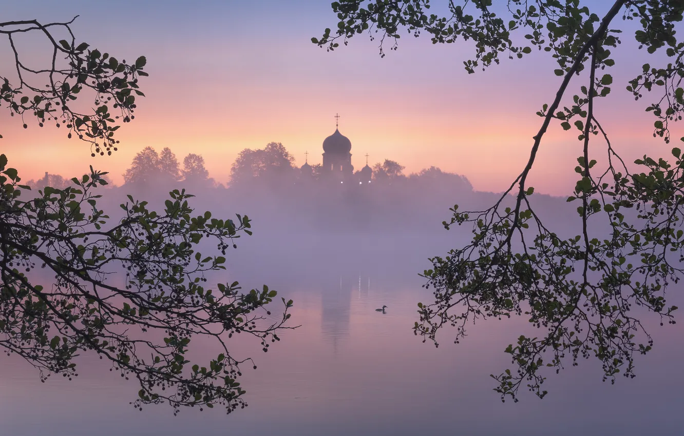 Photo wallpaper before the dawn, Novgorod oblast, Vvedenskoe lake, Igor Abroskin