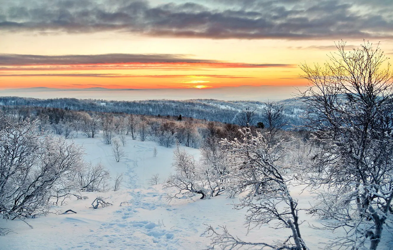 Photo wallpaper winter, snow, landscape, sunset