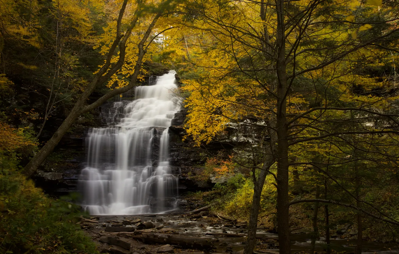Photo wallpaper autumn, forest, trees, waterfall, river, PA, cascade, Pennsylvania