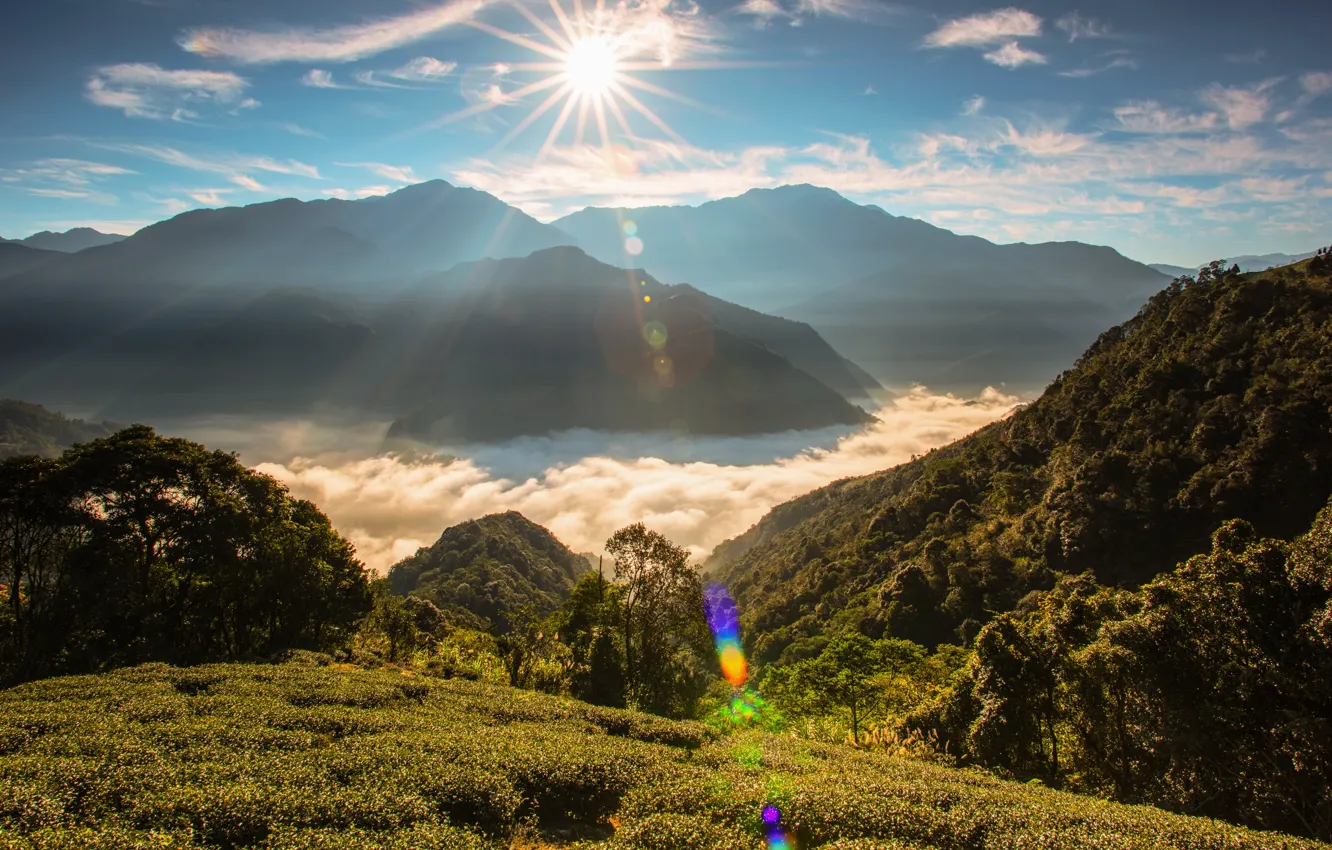 Photo wallpaper the sun, clouds, rays, mountains, fog, hills, vegetation, the slopes