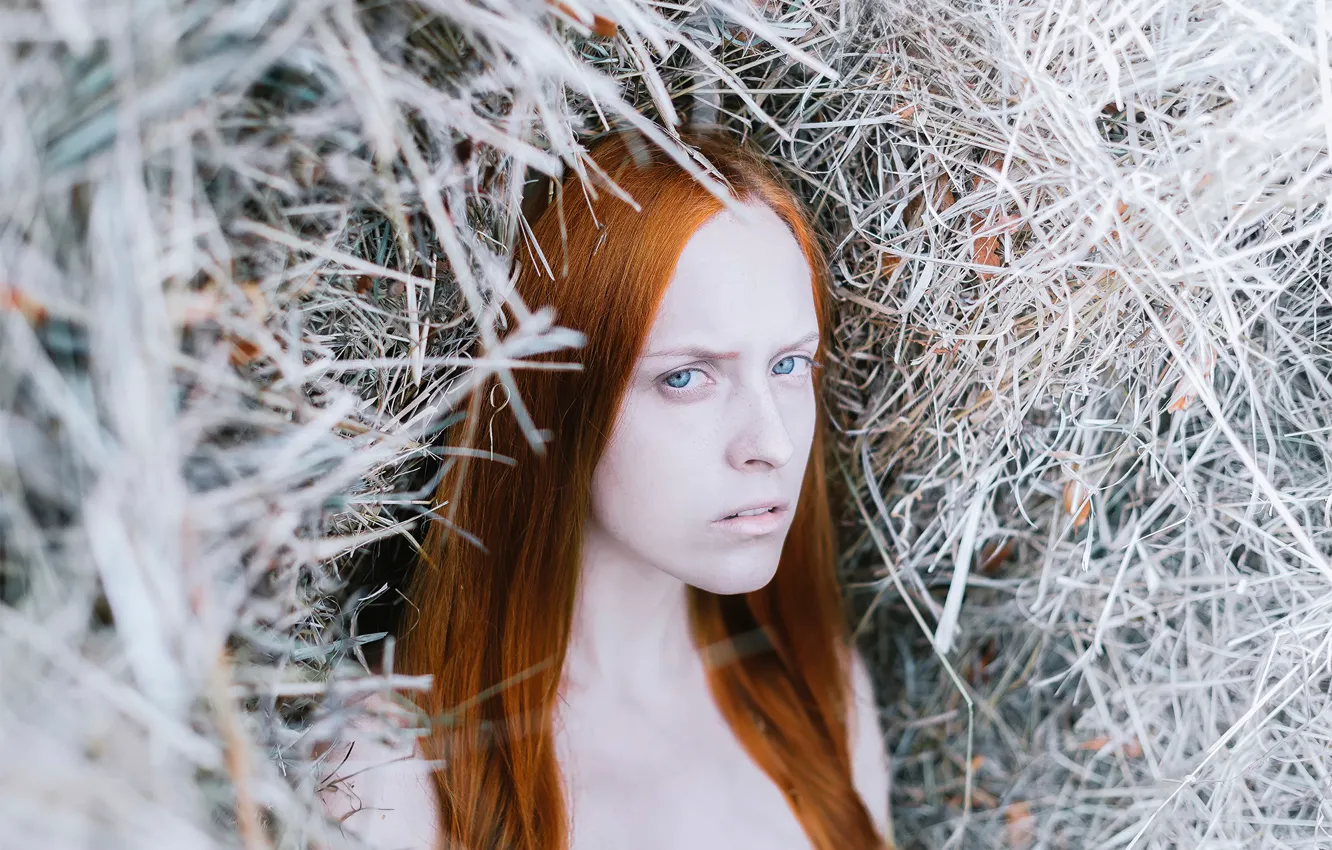 Photo wallpaper redhead, Michael Farber, Last Request