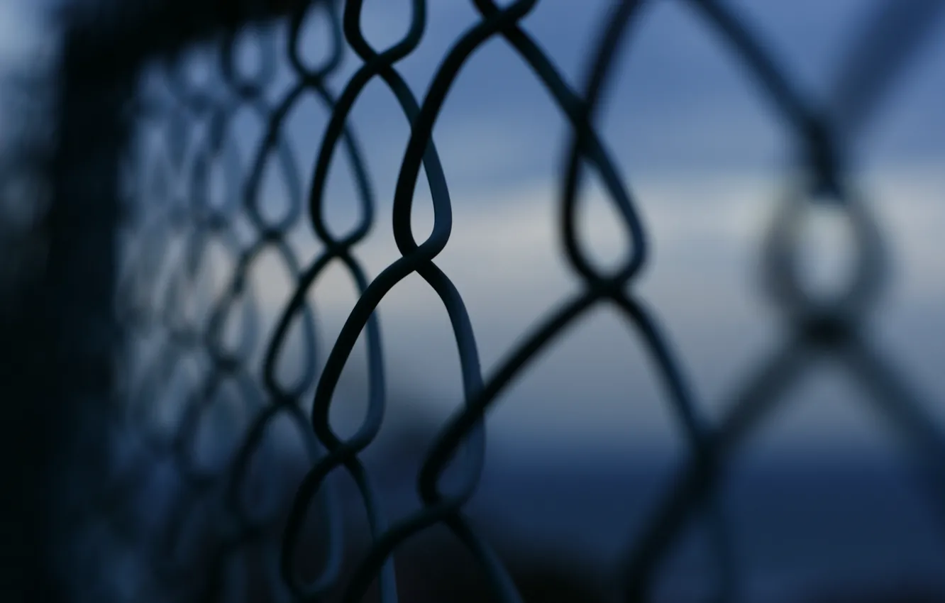 Photo wallpaper macro, background, mesh, widescreen, Wallpaper, the fence, fence, wallpaper