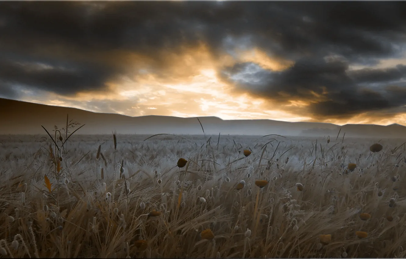 Photo wallpaper field, autumn, the sky, grass, light, clouds