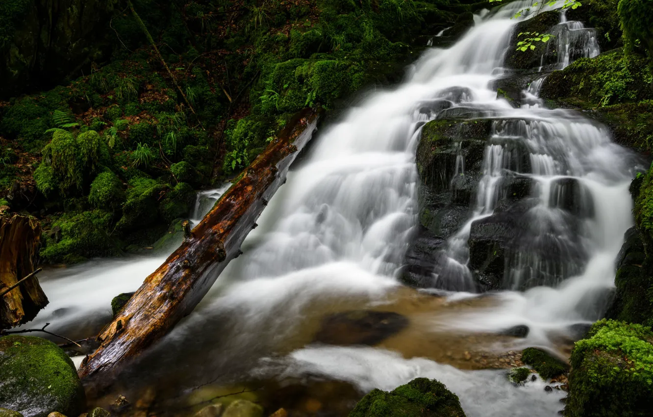 Photo wallpaper trees, rocks, waterfall, stream