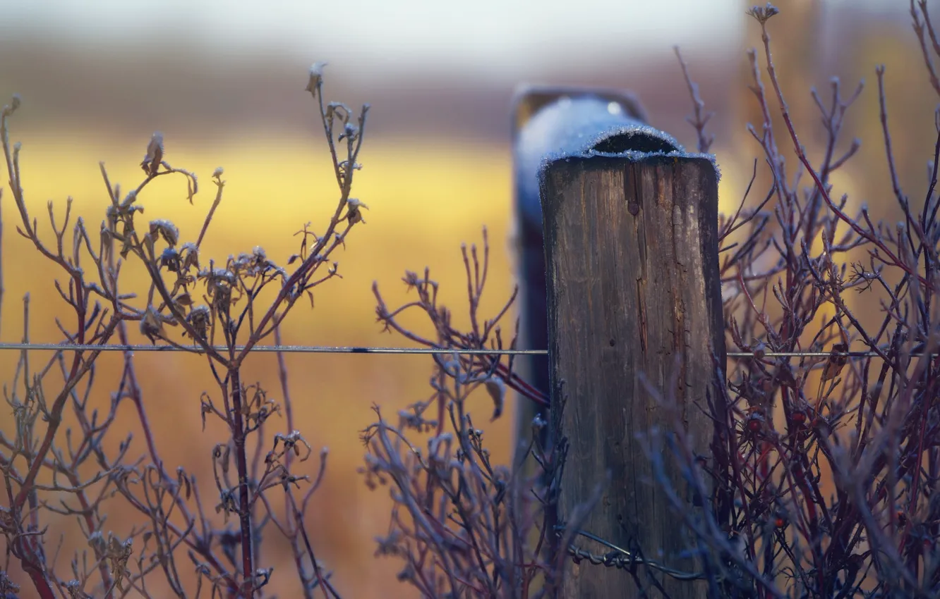 Photo wallpaper snow, fence, wire