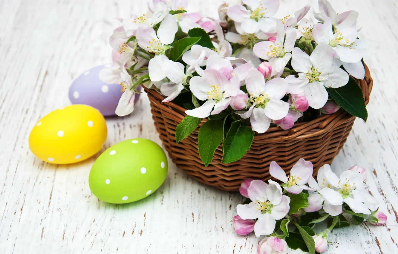 Photo wallpaper flowers, eggs, spring, colorful, Easter, wood, blossom, flowers