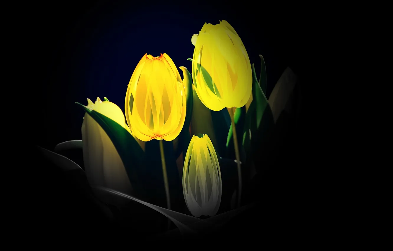 Photo wallpaper flowers, background, tulips
