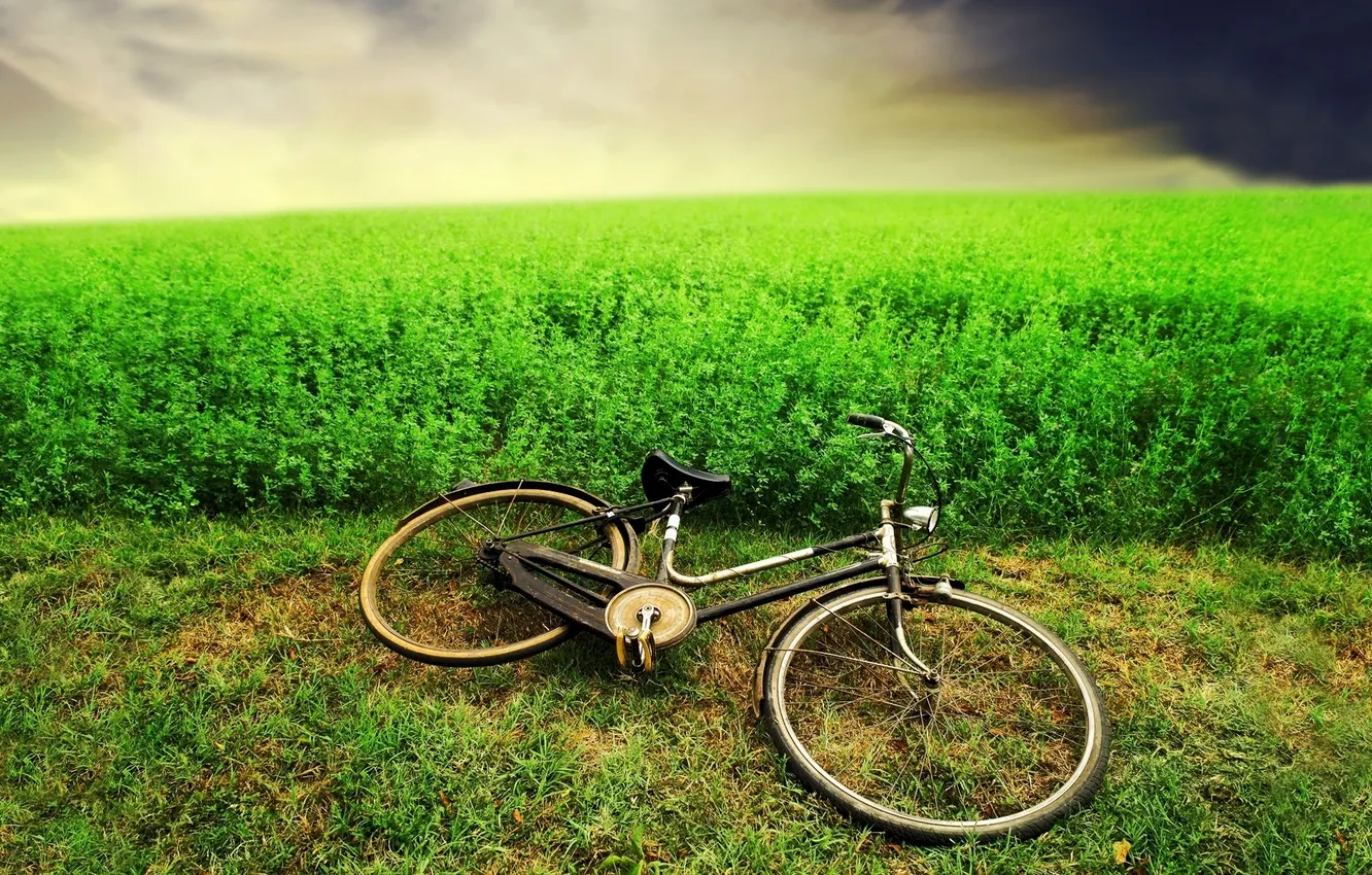 Photo wallpaper GRASS, HORIZON, The SKY, FIELD, GREENS, BIKE, CLOUDS