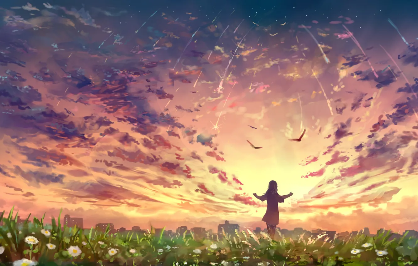 Photo wallpaper the sky, girl, sunset, flowers, birds, nature, the city