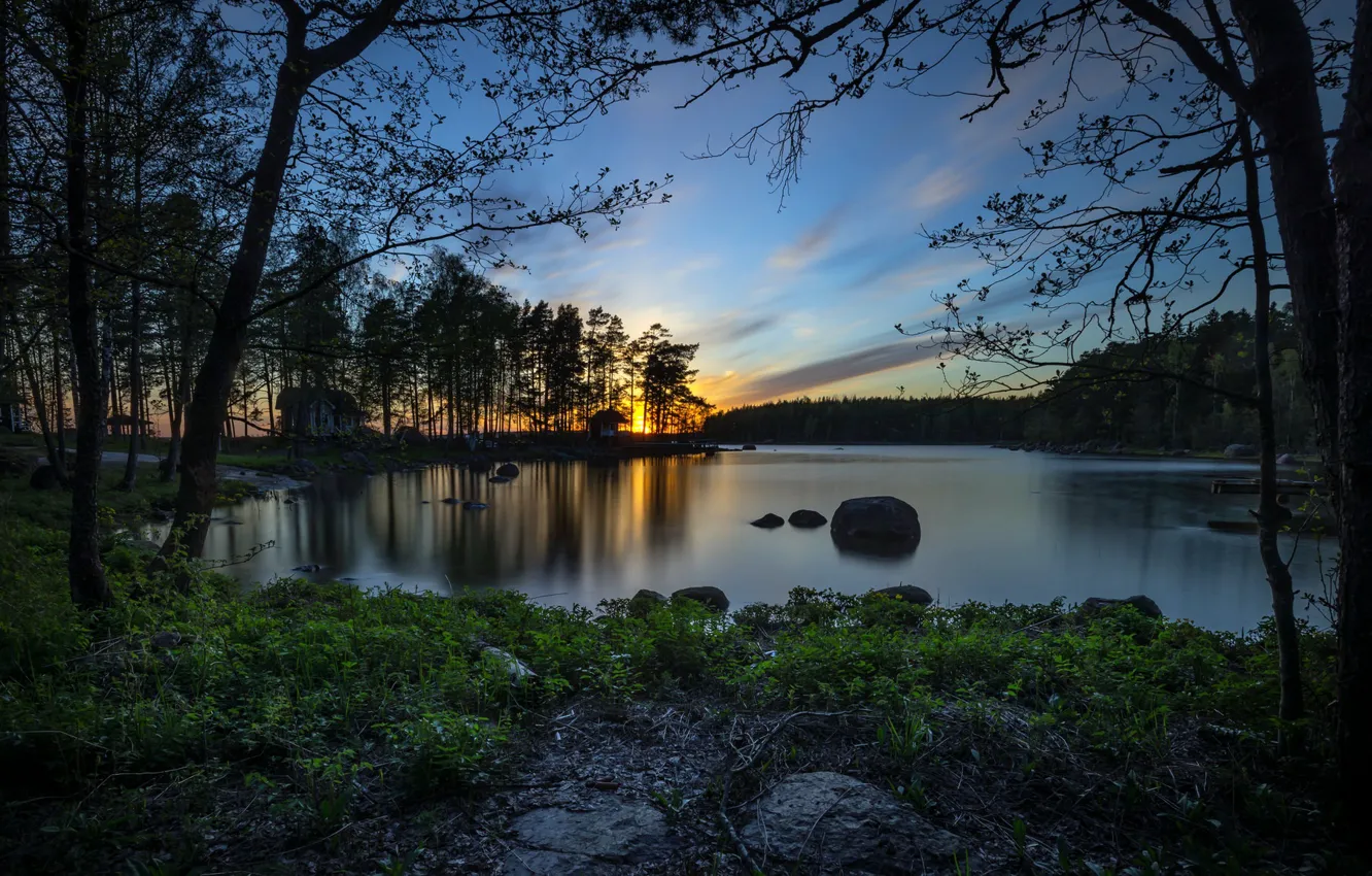 Photo wallpaper forest, sunset, lake
