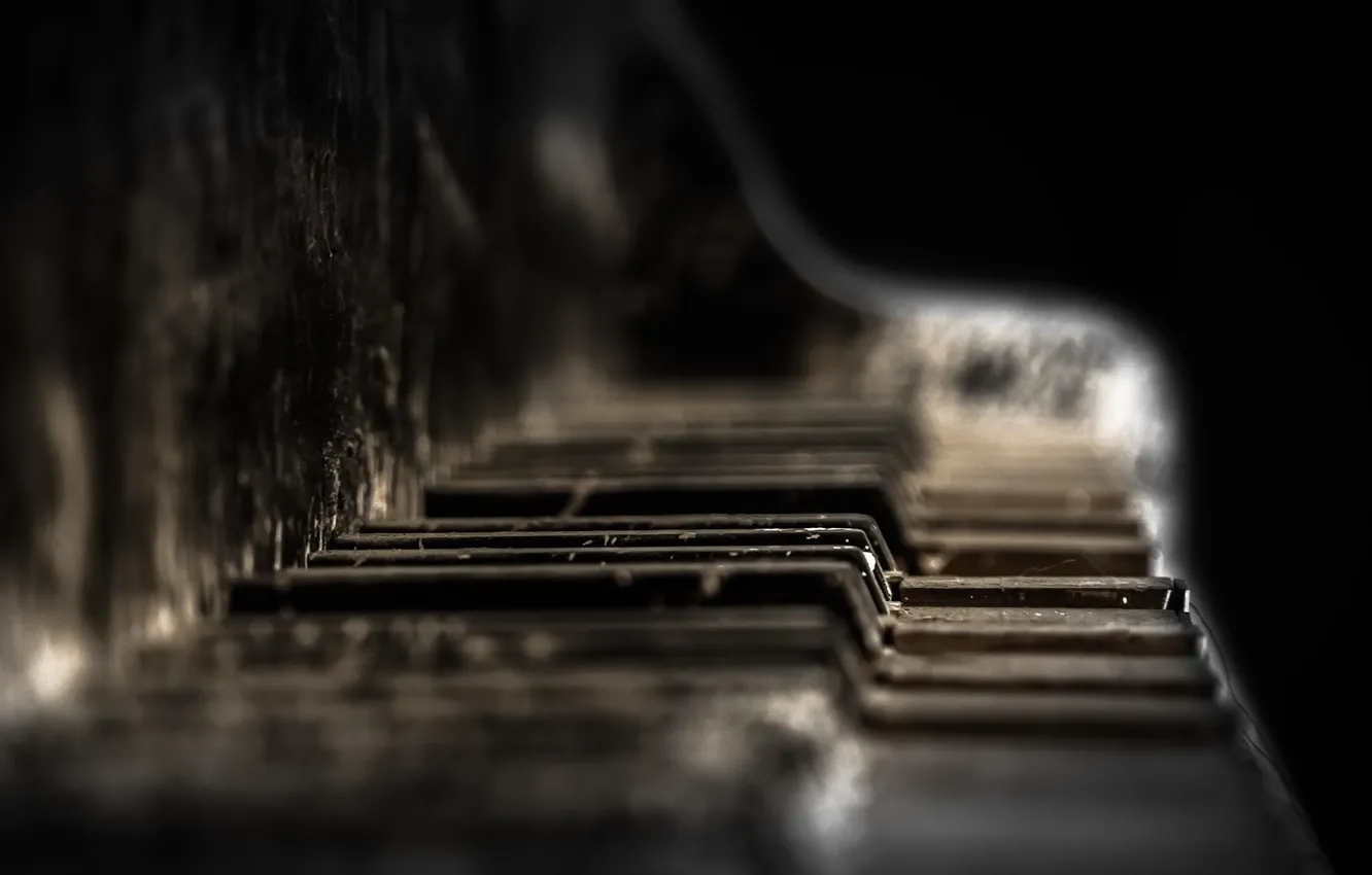 Photo wallpaper macro, music, piano