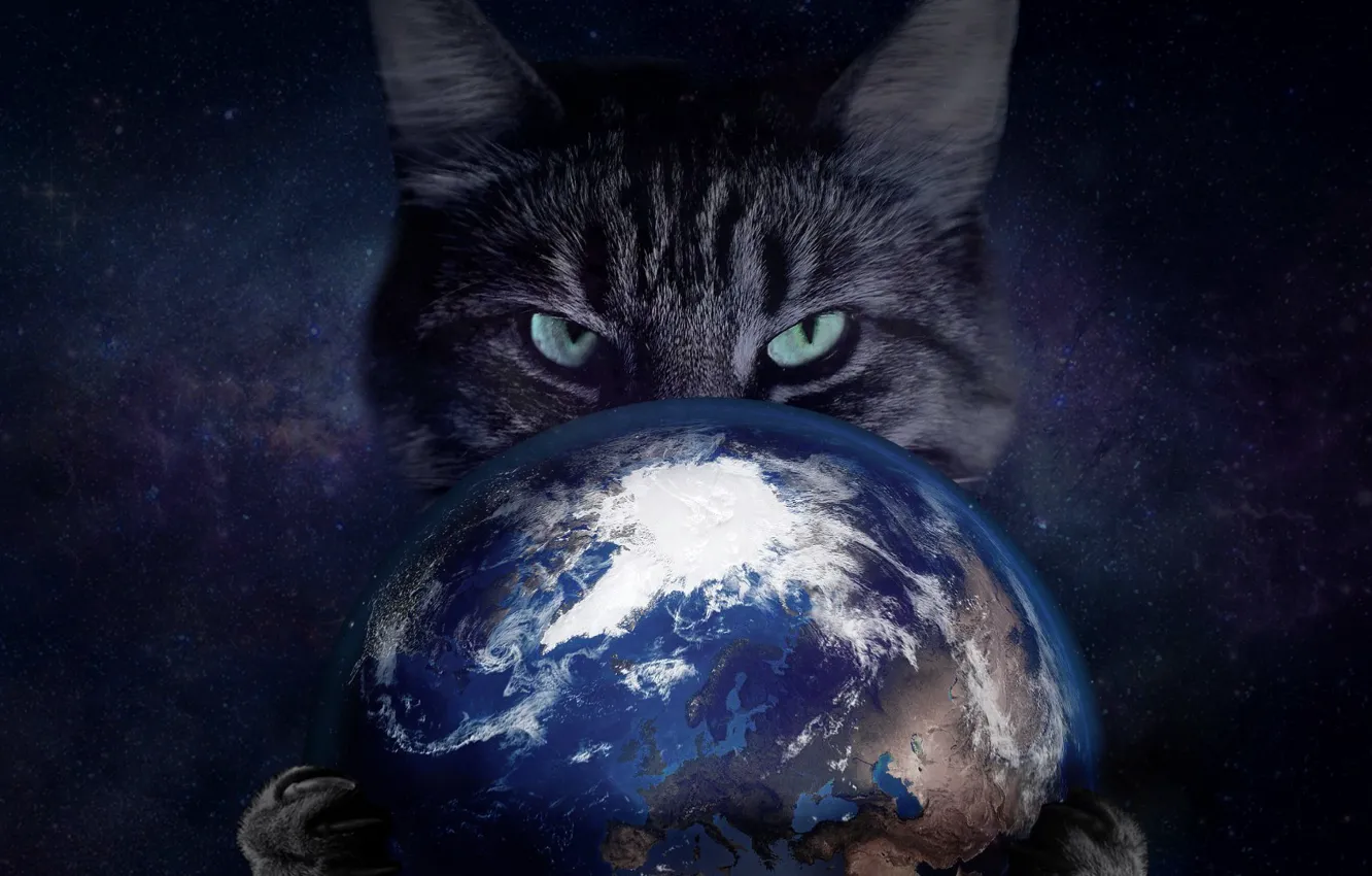 Photo wallpaper cat, eyes, space, claws, earth, Enslavement